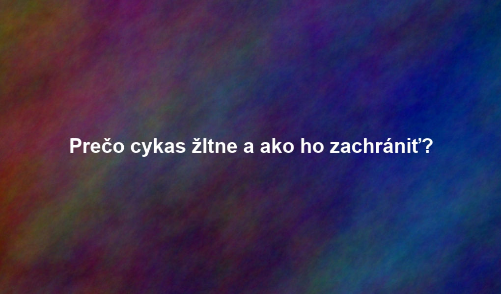 Prečo cykas žltne a ako ho zachrániť?