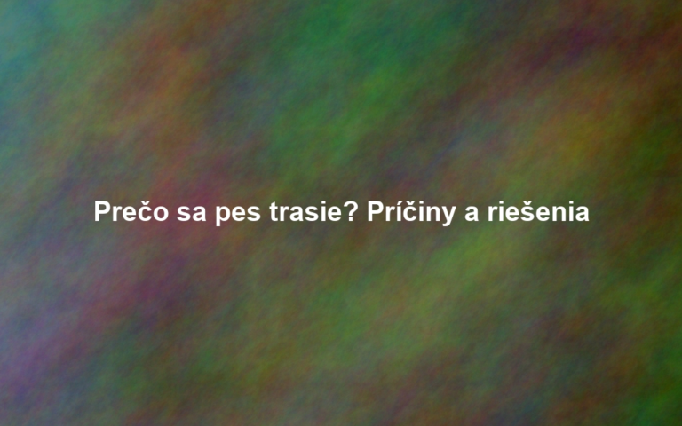 Prečo sa pes trasie? Príčiny a riešenia