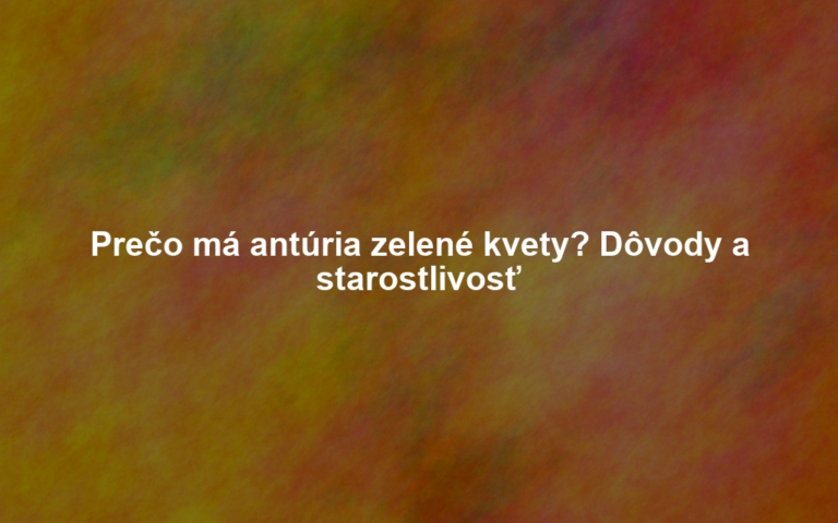 Prečo má antúria zelené kvety? Dôvody a starostlivosť