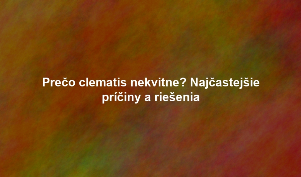 Prečo clematis nekvitne? Najčastejšie príčiny a riešenia
