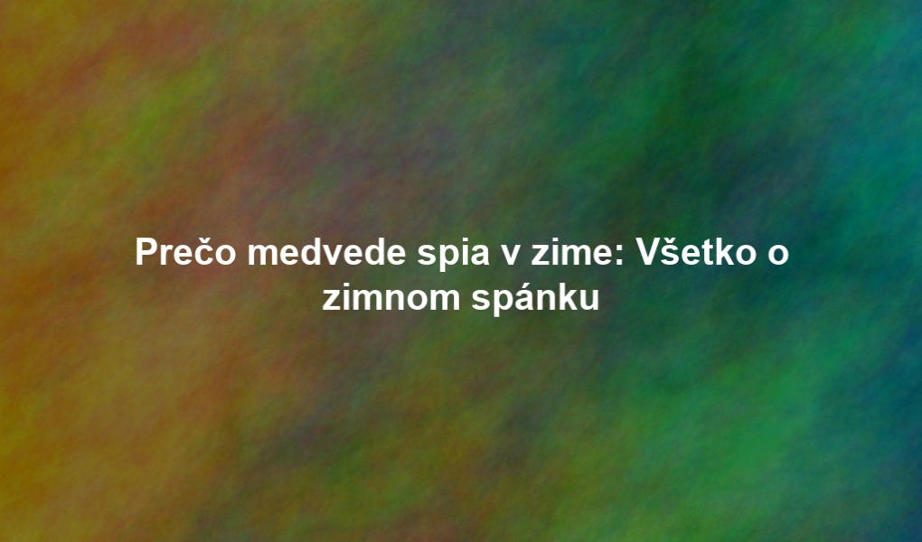 Prečo medvede spia v zime: Všetko o zimnom spánku