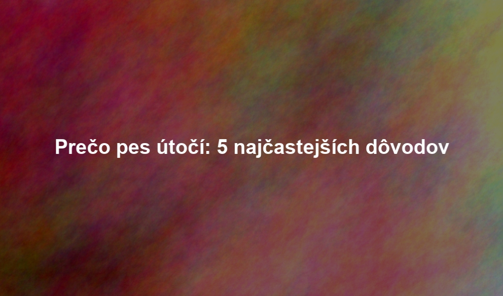 Prečo pes útočí: 5 najčastejších dôvodov