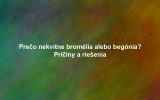 Prečo nekvitne bromélia alebo begónia? Príčiny a riešenia