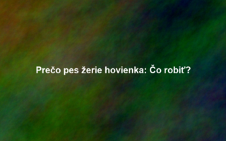 Prečo pes žerie hovienka: Čo robiť?