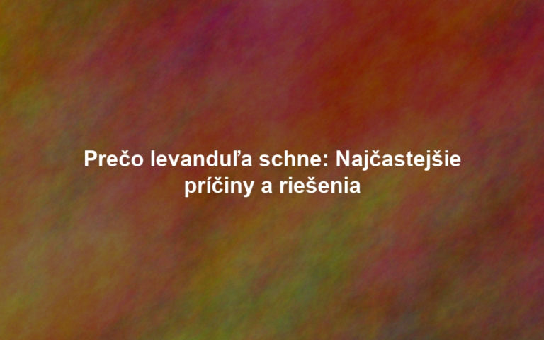 Prečo levanduľa schne: Najčastejšie príčiny a riešenia