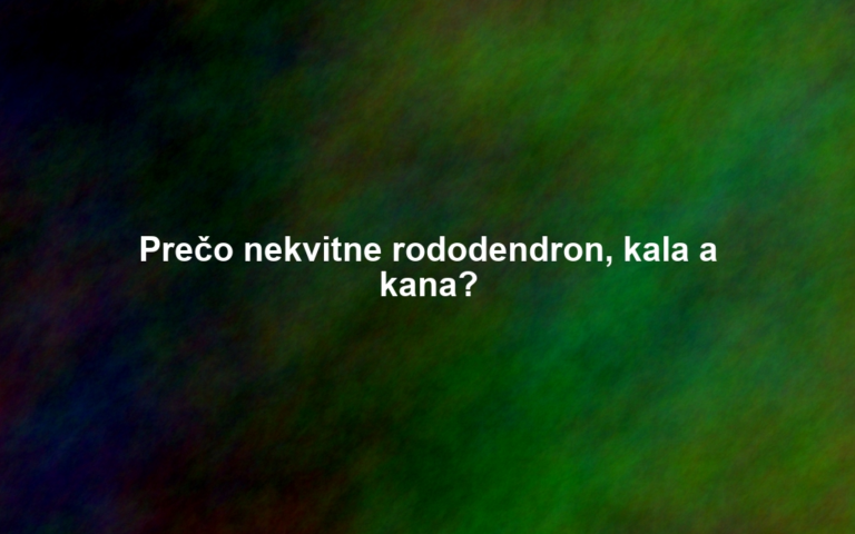 Prečo nekvitne rododendron, kala a kana?