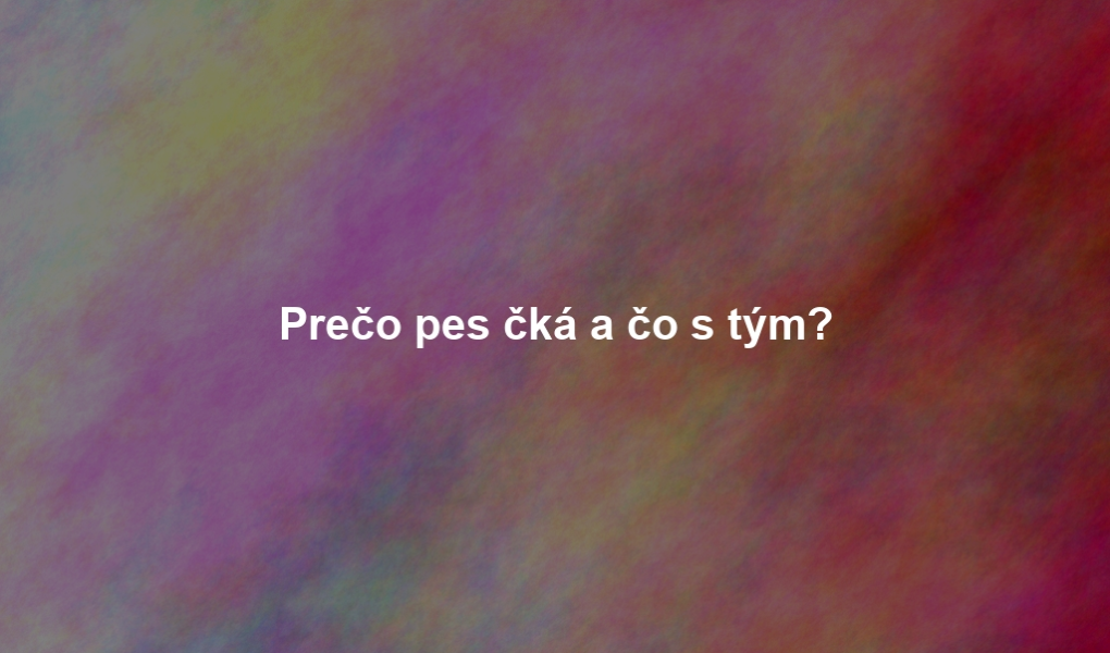 Prečo pes čká a čo s tým?